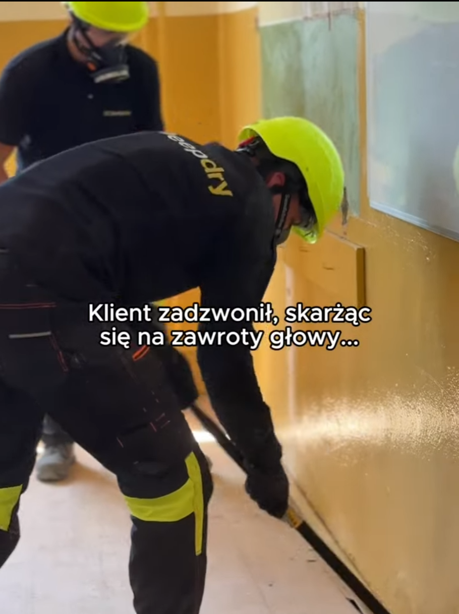 Odgrzybianie budynku