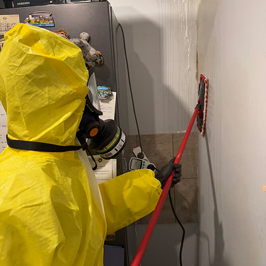 Odgrzybianie w Katowicach, nie osuszone mieszkanie po zalaniu, usuwanie środkami chemicznymi