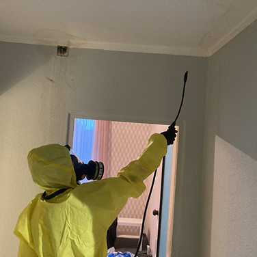 pracownik ubrany w strój ochronny odgrzybia środkiem chemicznym przedpokój w mieszkaniu w Szczecinie