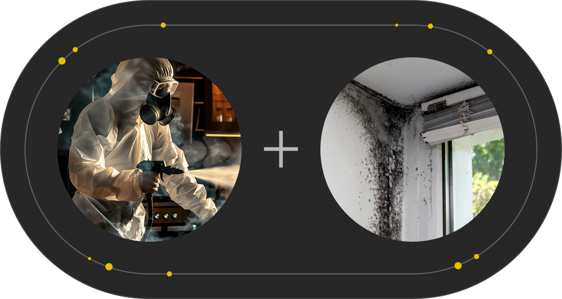 Ozonowanie i odgrzybianie mieszkania