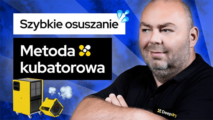 Odgrzybianie budynku