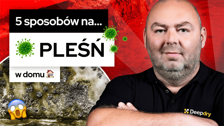 Odgrzybianie budynku