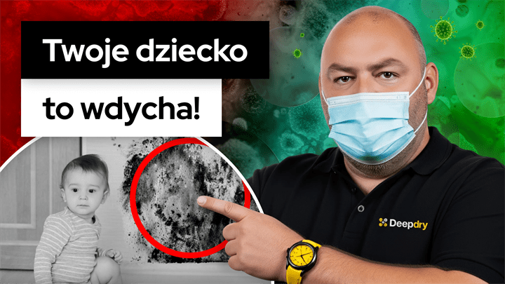 Odgrzybianie budynku