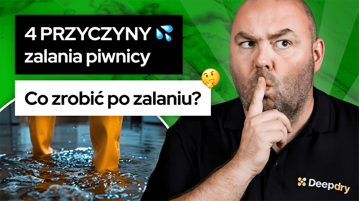 Odgrzybianie budynku