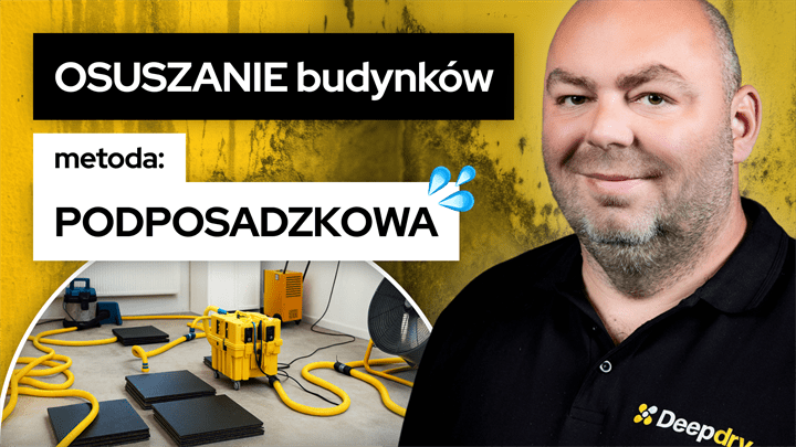Odgrzybianie budynku