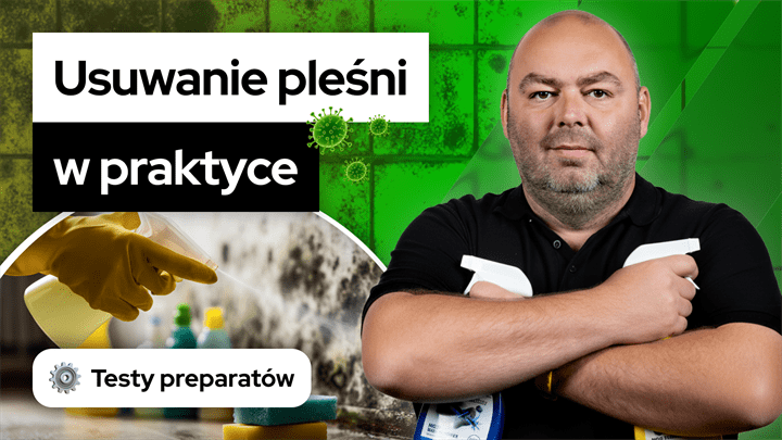 Odgrzybianie budynku