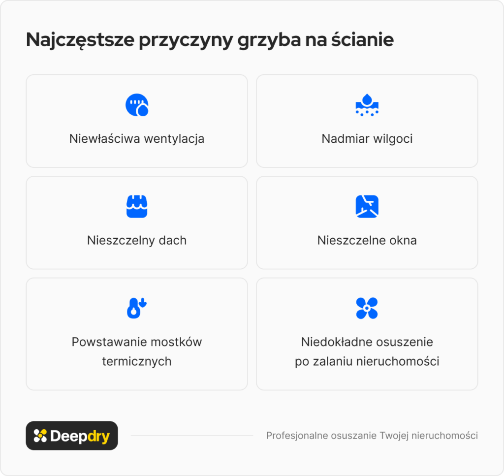 infografika najczęstsze przyczyny powstawania grzyba na ścianie