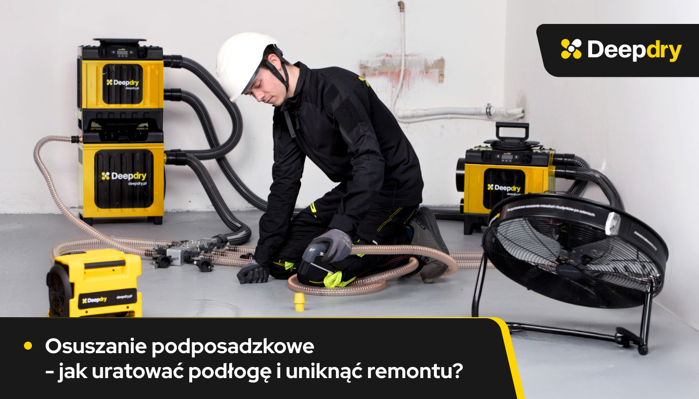 osuszanie podposadzkowe jak uratować podłogi
