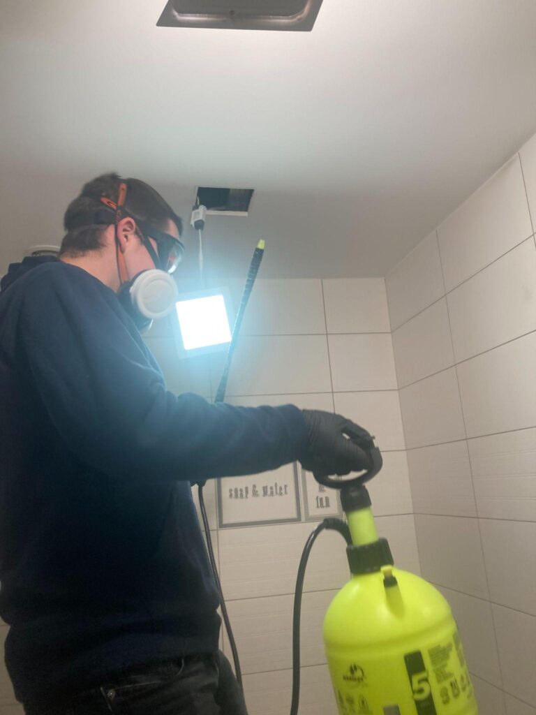 Odgrzybianie ścian w mieszkaniu w kamienicy w Łodzi