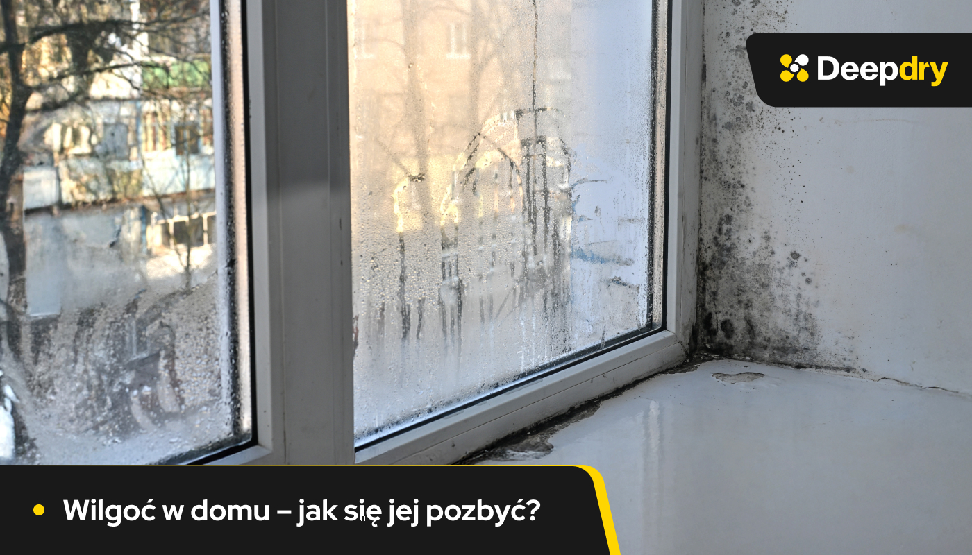 wilgoć w domu, grzyb w domu, wilgoć przy oknie
