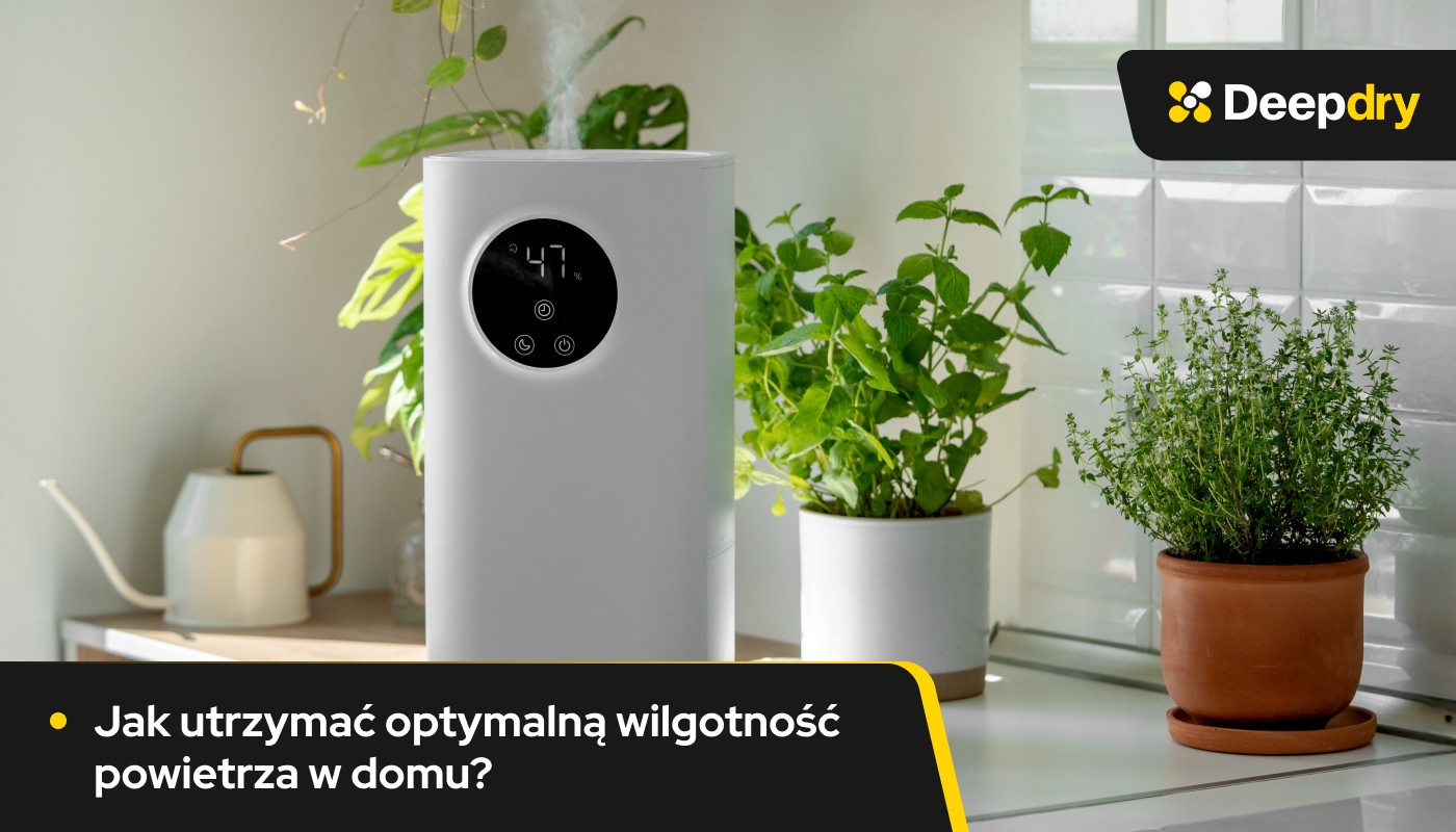 Jak utrzymać optymalną wilgotność powietrza w domu?