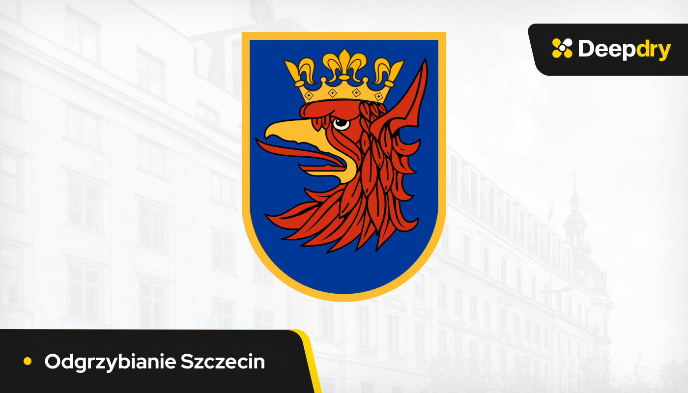 odgrzybianie szczecin