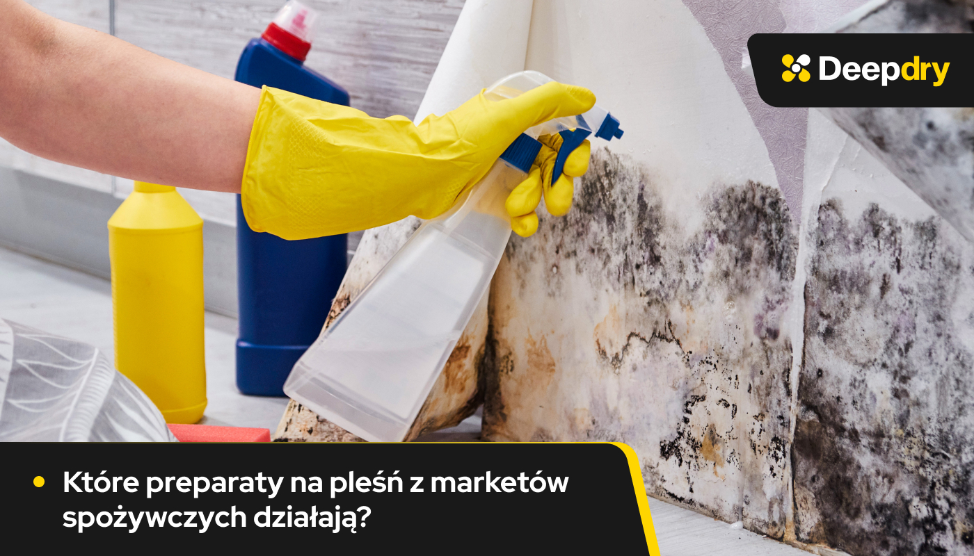 Preparaty na pleśń z marketów spożywczych – które działają?