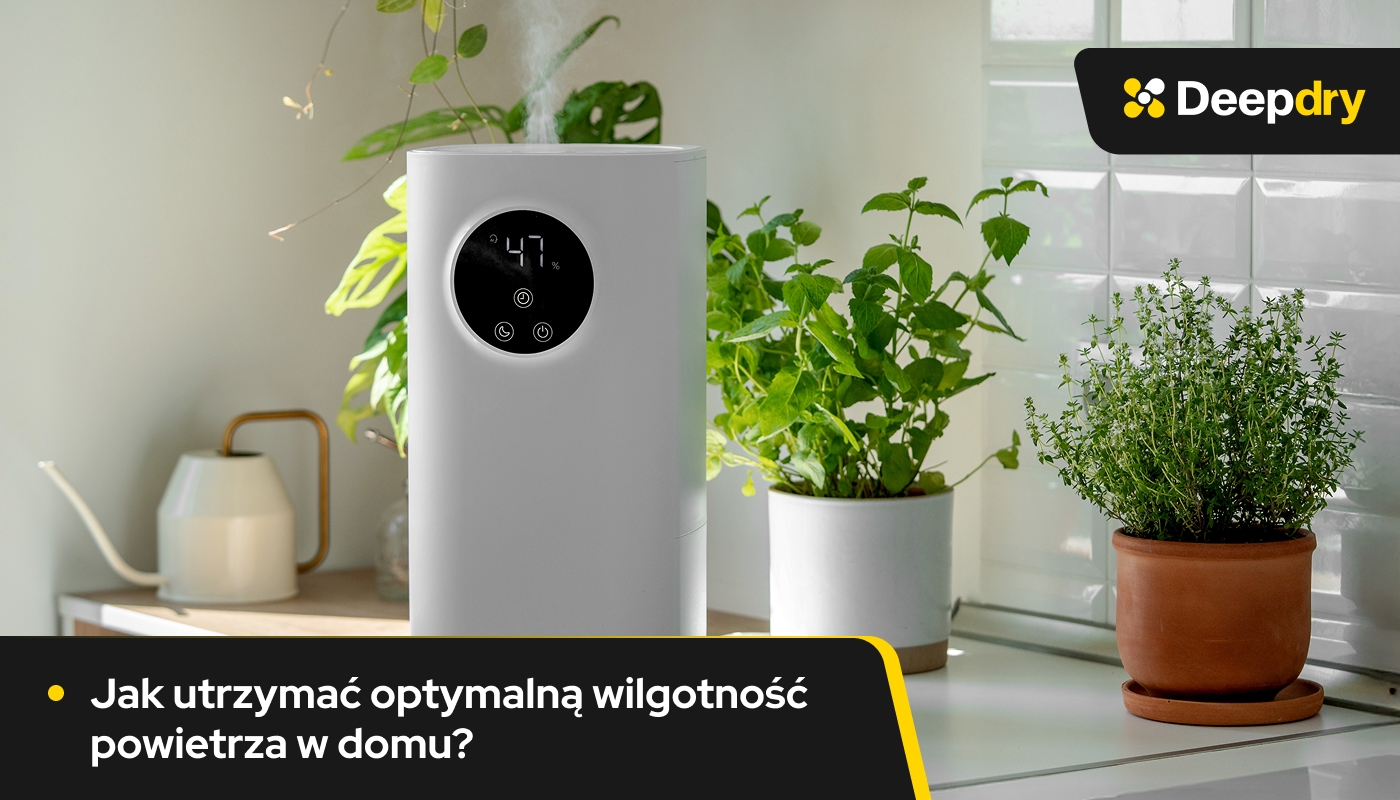 Jak utrzymać optymalną wilgotność powietrza w domu?