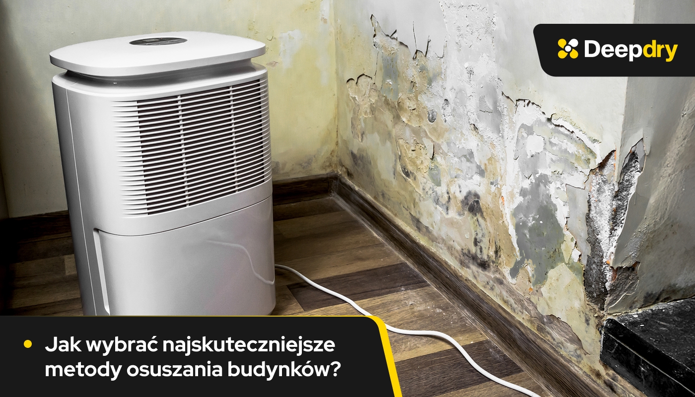 Jak wybrać najskuteczniejsze metody osuszania budynków?