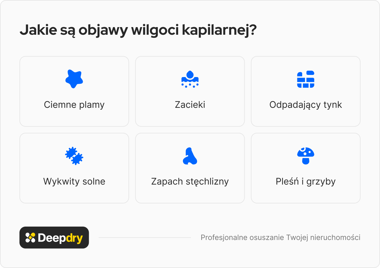 Jakie są objawy wilgoci kapilarnej?