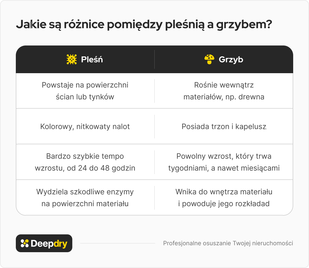 jakie są różnice pomiędzy pleśnią a grzybem?