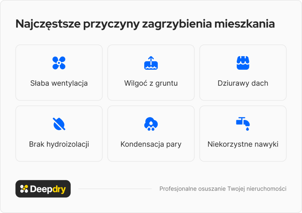najczęstsze przyczyny zagrzybienia mieszkania: słaba wentylacja, wilgoć z gruntu, dziurawy dach, brak hydroizolacji, kondensacja pary, niekorzystne nawyki