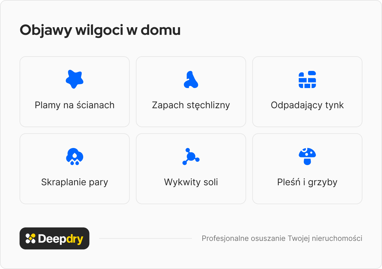 objawy wilgoci w domu: plamy na ścianach, zapach stęchlizny, odpadający tynk, skraplanie wody, wykwity soli, pleśń i grzyby