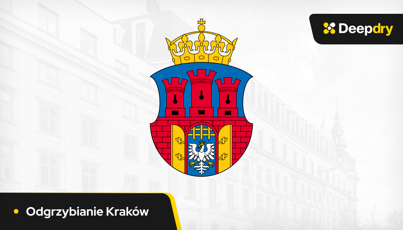 odgrzybianie Kraków