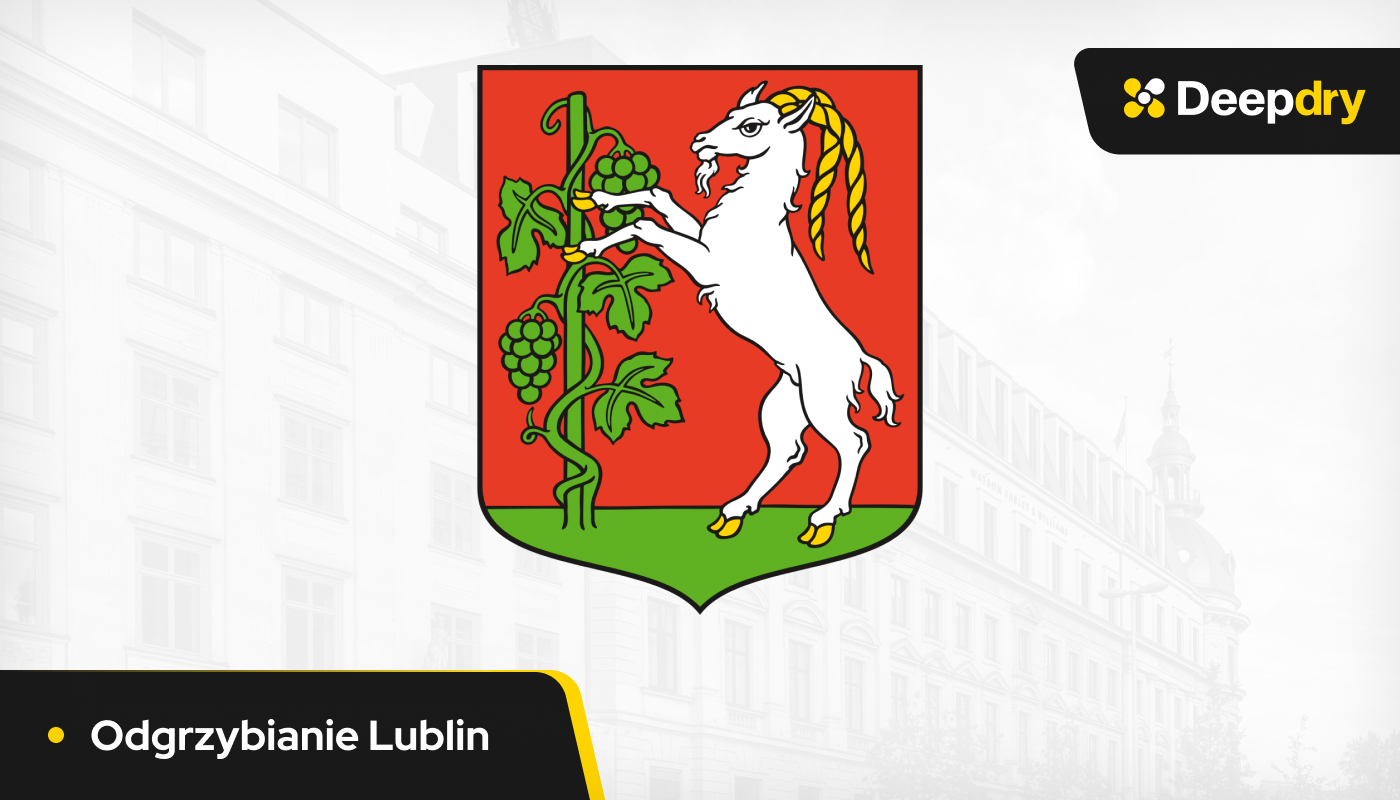 odgrzybianie Lublin