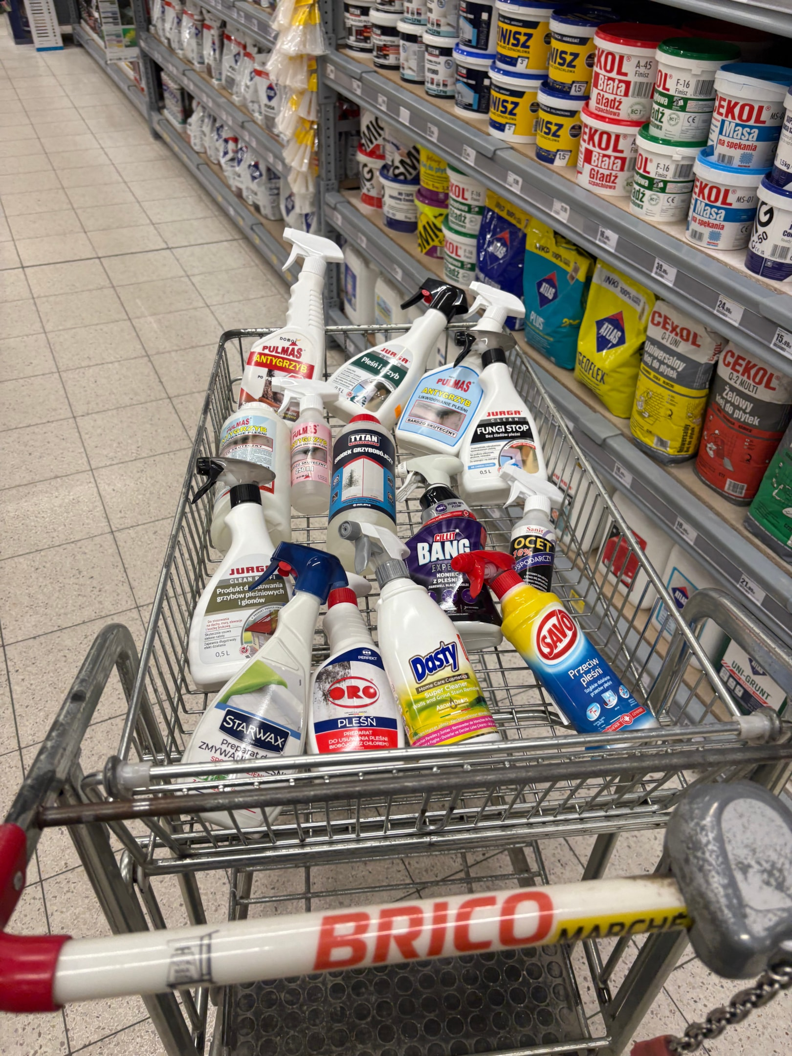 Środki grzybobójcze dostępne w Bricomarche