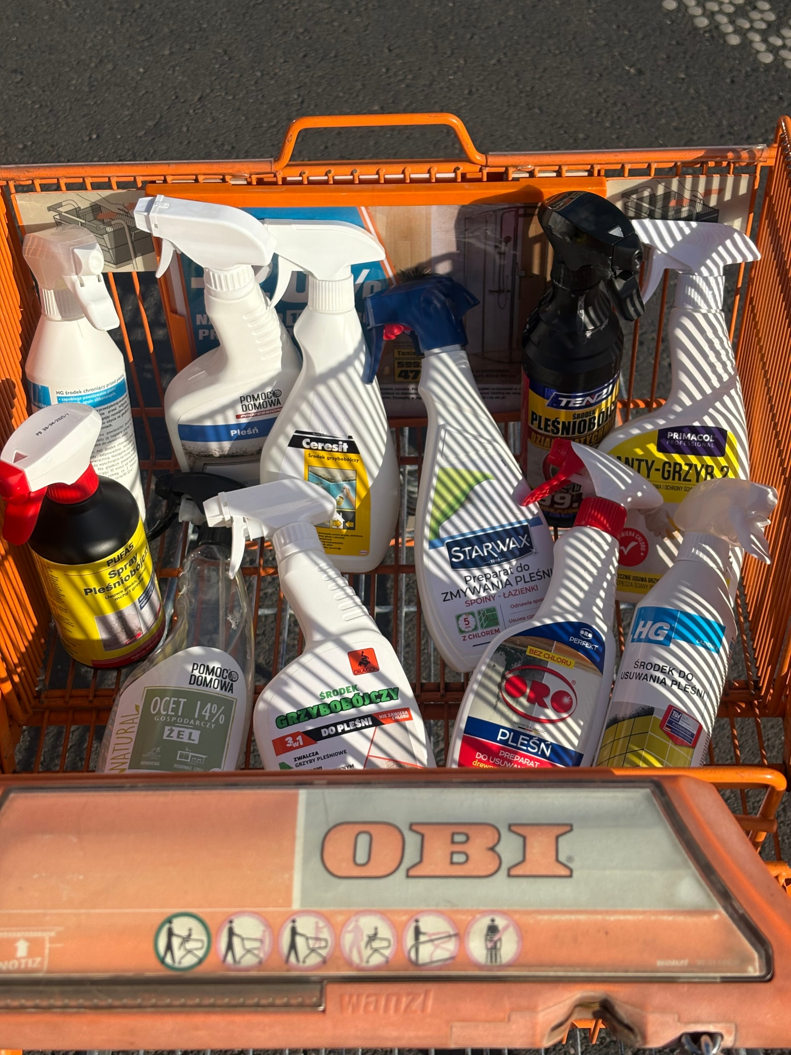 Środki grzybobójcze dostępne w Obi