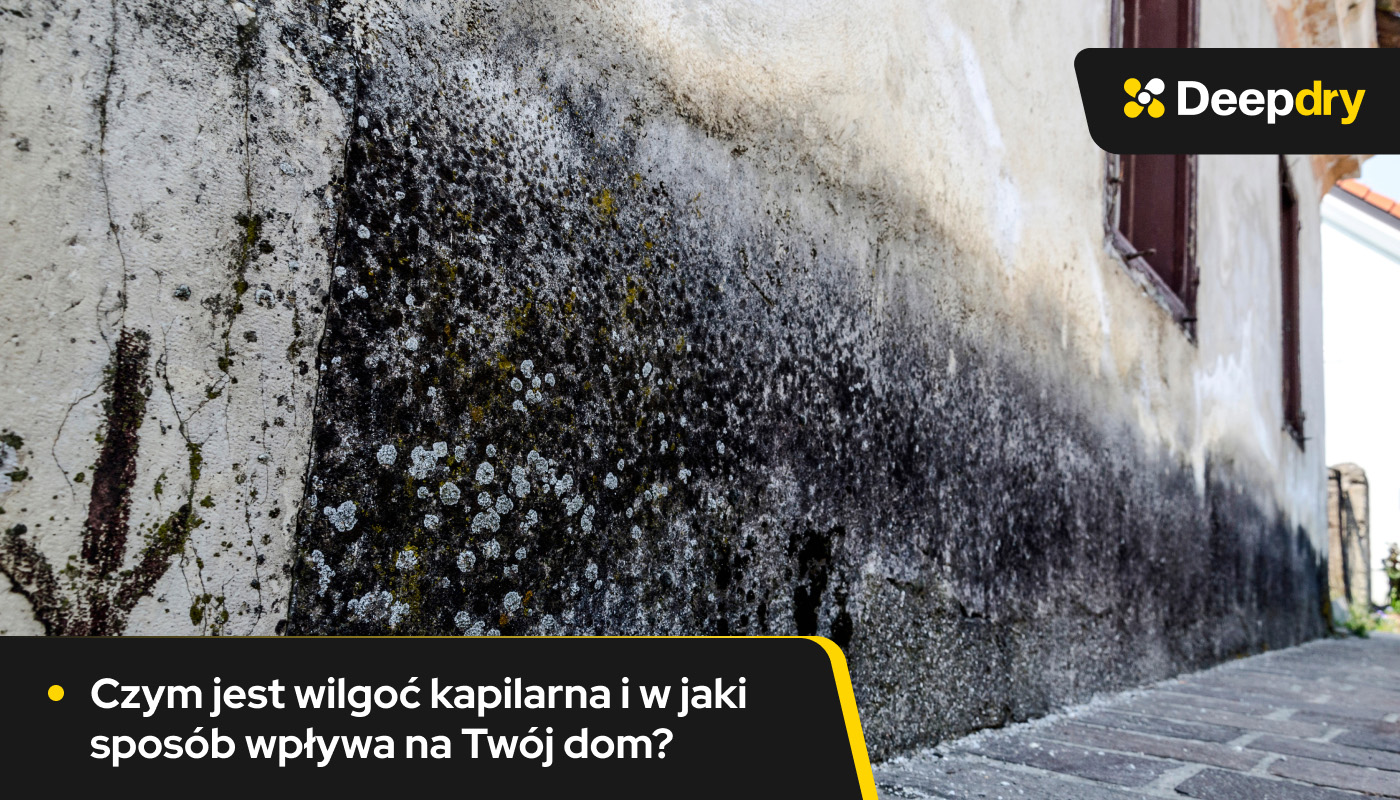 wilgoć kapilarna