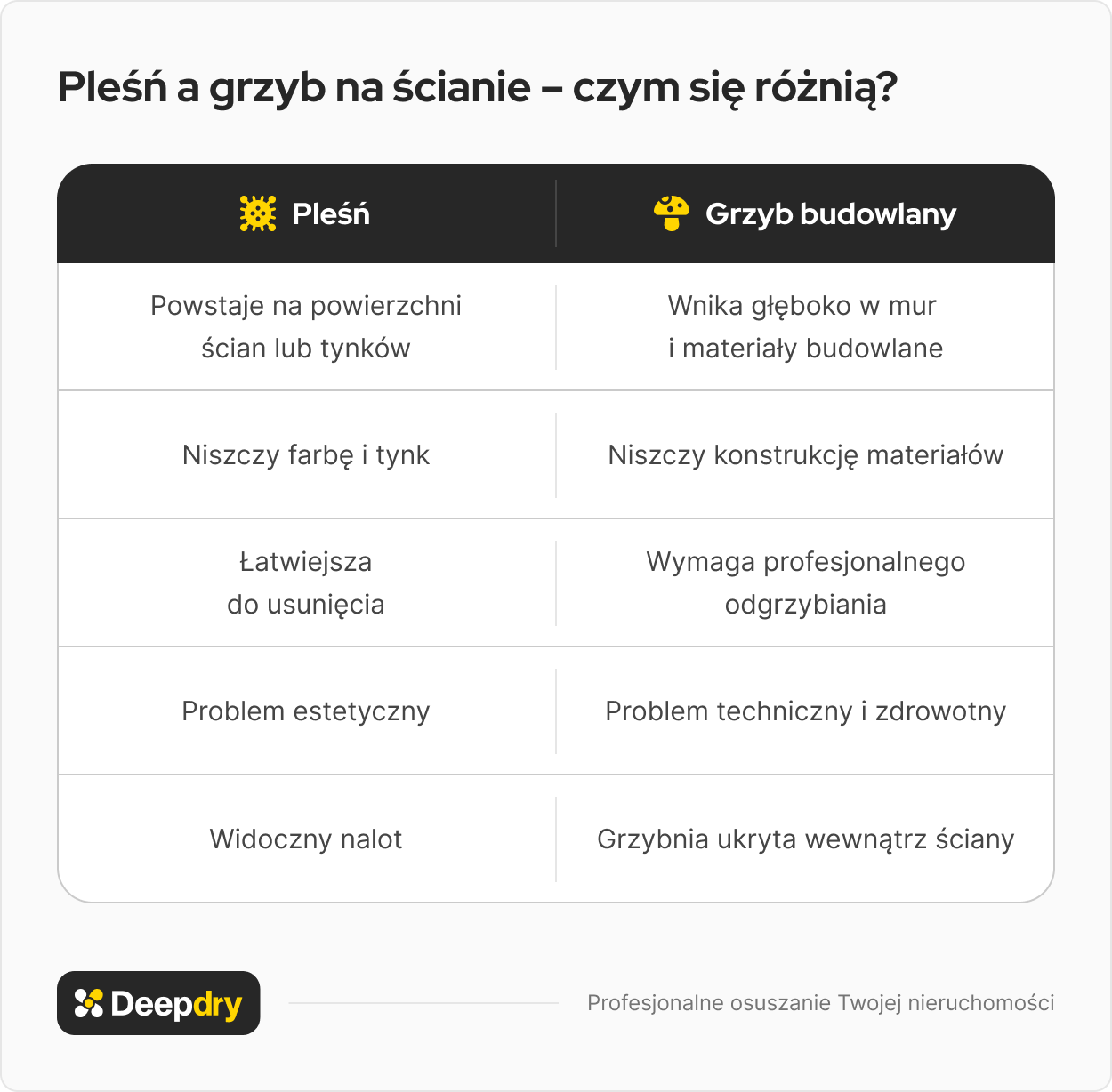 Pleśń a grzyb na ścianie – czym się różnią?